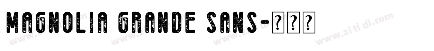 Magnolia Grande Sans字体转换 Magnolia Grande Sans字体转换